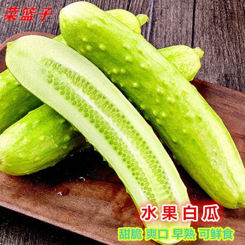 水果白瓜种子早熟白玉黄瓜籽甜脆爽口春夏季庭院农田蔬菜瓜果种子