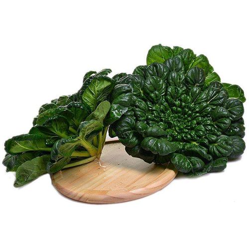 乌塌菜 现摘软糯香青菜火锅蔬菜 3斤