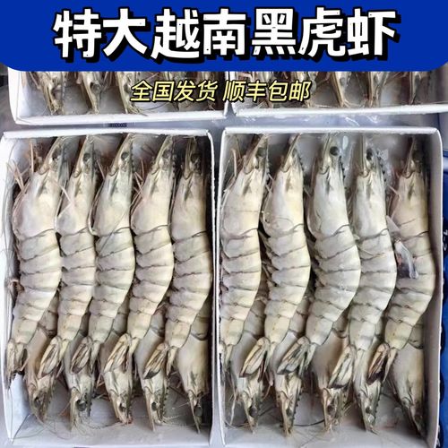 黑虎虾进口超大草虾大虾海虾老虎虾斑节虾九节虾越南海鲜水产速冻