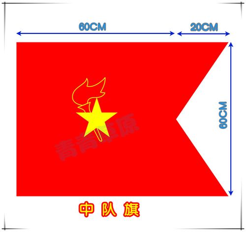 少先队中队旗  大队 小队队徽团徽  学校班旗 集体活动