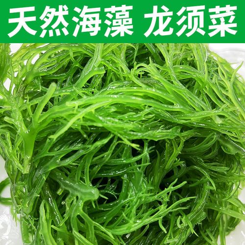【新品热卖】龙须菜凉拌菜海藻草菜鹿角菜长寿菜批发新鲜盐渍袋装