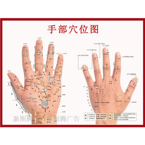 手部穴位挂图人体经络穴位图针灸按摩宣传画手部脚部反射z区挂画3