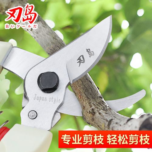 日本原装进口爱丽斯修枝剪刀130dx花剪园艺剪果树剪刀枝剪树剪子