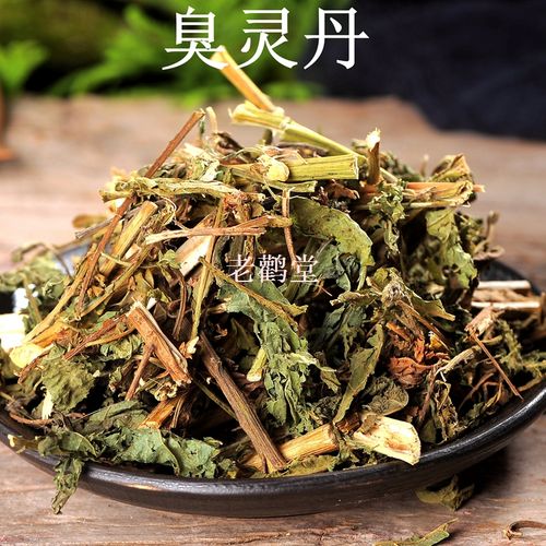臭灵丹 羊尾三靓 六棱菊 鹿耳苓 鹿耳草 药材六耳棱 500g包邮