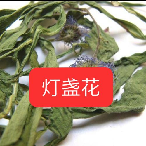 中药材灯盏花 云南中药材灯盏花 灯盏细辛