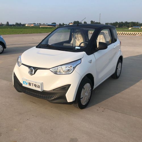 雷丁coco低速油电两用四轮电动车成人家用车新能源代步车混动封闭