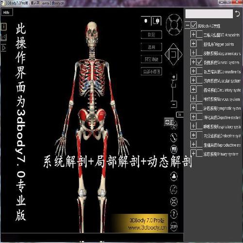 3dbody人体解剖软件7.0专业版  系统解剖 局部解剖正版3d解剖软件