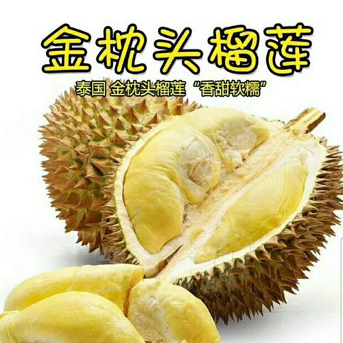泰国金枕头榴莲
