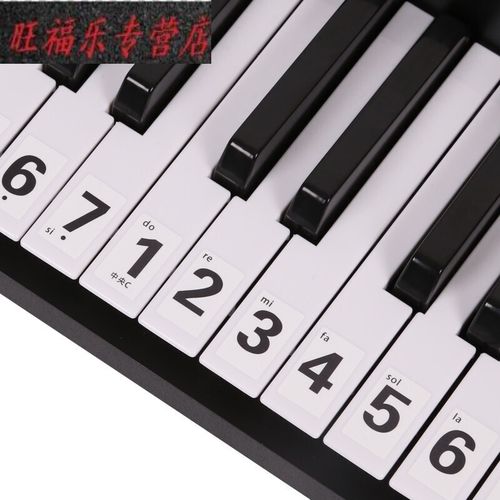 通用钢琴键盘贴纸电子琴手卷钢琴琴贴五线谱简谱键位贴定制款 54键/61