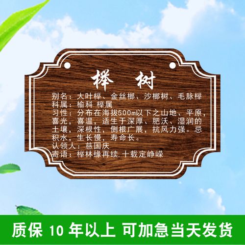 树木介绍牌 树牌植物挂牌树木认养牌园林绿化标识牌树木介绍牌树铭牌