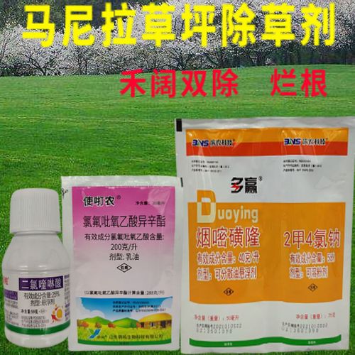马尼拉草坪专用除草剂 草坪除草剂 马尼拉草坪除草剂禾本科阔叶类