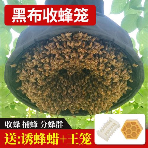 收蜂笼招蜂笼收蜂袋捕蜂笼找蜂神器黑布加厚防水野外专用收蜂工具
