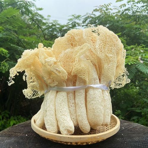 福建特产2021新鲜竹荪100g,农家无硫无添加