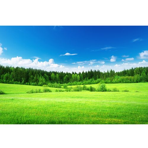 家居绿色草坪草地树林树木蓝天白云风景画海报 装饰画