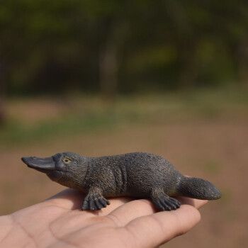 德国思乐鸭嘴兽玩 新款动物模型具14840儿童启蒙认知摆件 图片色