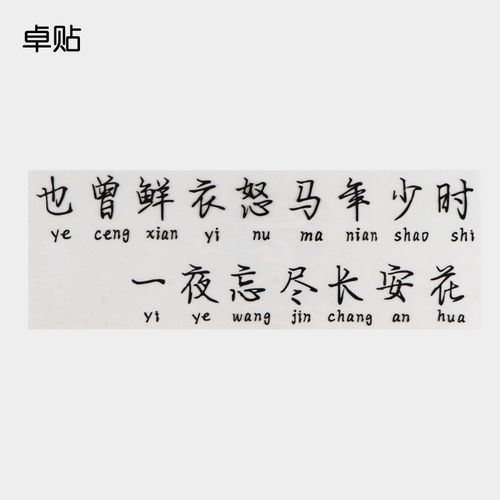 卓贴 也曾鲜衣怒马年少时个性网红文字车贴车后保险杠装饰贴纸