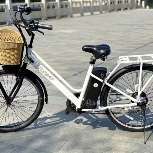 库存锂电车电动车助力车电动车电动自行车电瓶车变速车永久自行车