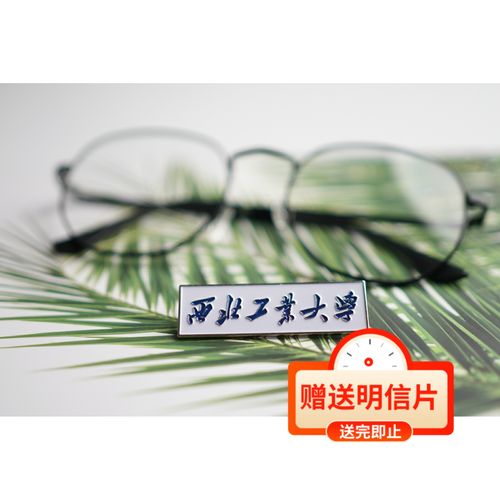 西北工业大学校徽西工大校 西北工业大学徽章西北工业大学纪念品