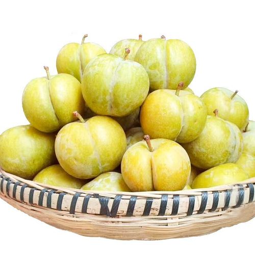 正宗贵州六马弄袍村蜂糖李子大果新鲜孕妇水果脱骨李当季整箱 嗨吃装8