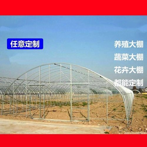 唯友(weiyou)种植农业蔬菜大棚骨架温室暖棚镀锌钢管钢架养殖花卉草莓