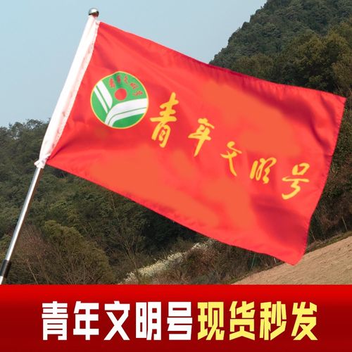 青年文明号旗帜志愿者服务队公益旗突击队旗彩旗公司学校班级活动