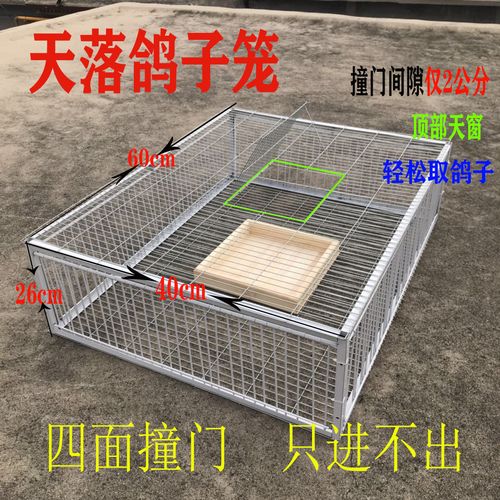 新款天落笼自动收鸽笼只进不出可连续抓鸽子金属材质养殖繁殖笼具