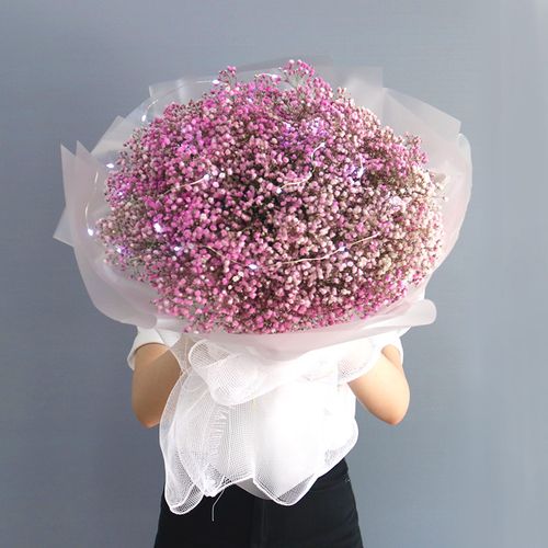 蓝色满天星干花超大小花束送男女生日礼物云南鲜花速递直发 【同城