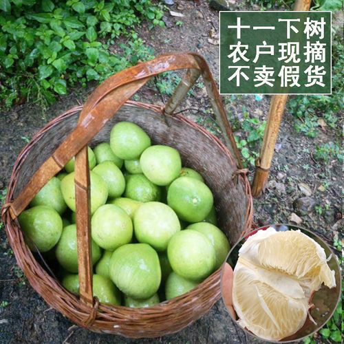 [认准本家]正宗萍乡安福蚕子金兰柚子 江西吉安特产土柚子5斤包邮