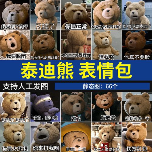 泰迪熊表情包 可爱沙雕搞笑静态图聊天表情图片系列