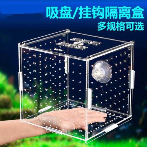 孔雀自制鱼大孔繁殖盒乌龟三湖慈鲷孵化器简易控温凤尾鱼配件鹌鹑