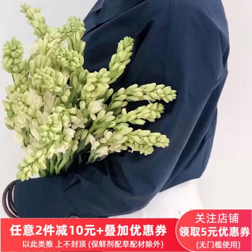 夜来香晚香玉荷兰鲜花鲜切家用送礼婚庆花束用花水养瓶插上海直批