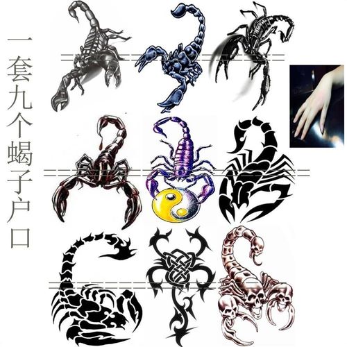 纹身图案模板大号大型蝎子纹身仿真纹身贴刺青不反光