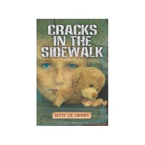 【预订】cracks in the sidewalk y9780983887928