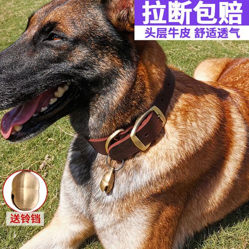 头层牛皮狗狗项圈 中大型犬马犬德牧脖圈宠物狗圈 真皮颈圈狗脖套