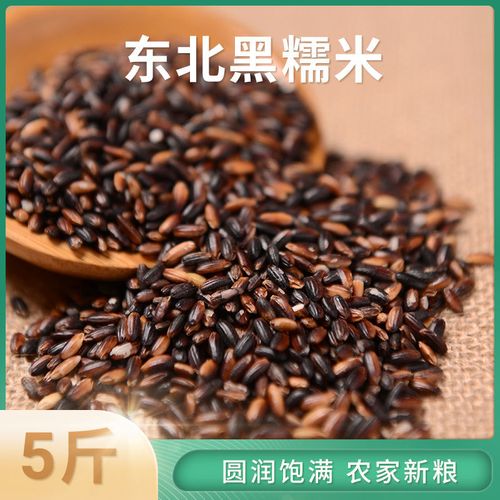 黑糯米 东北血糯米农家五谷杂粮新米现磨糯米黑粘米粗粮儿童5斤装