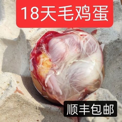 【顺丰】新鲜毛蛋生毛鸡蛋批发营养鸡胚蛋旺蛋喜蛋凤凰蛋非活珠子