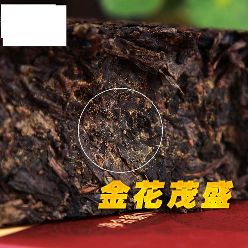黑茶南安化黑茶手筑茯砖茶 金花茯砖礼盒1000g 安化黑茶
