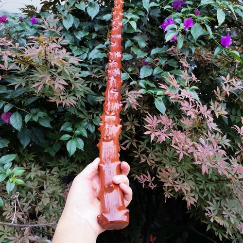 对节子老料拐杖,长度102公分,直径3公分,重640克