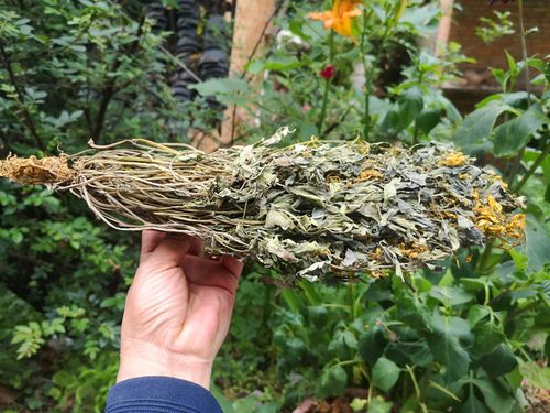 贵州草药野生岩黄莲500g克 中药材岩黄连崖黄连岩胡岩连菊花黄连