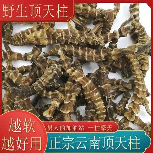【回春草】顶天柱云南野生不老草泡酒料泡茶持久起阳草硬的快