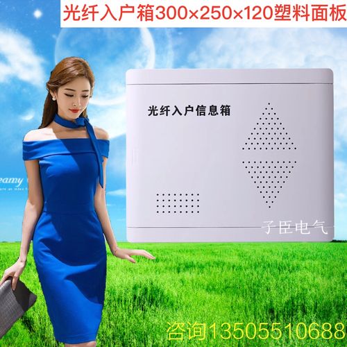 光纤入户箱 弱电箱 多媒体箱信息箱集线箱300*250*120 带插座空箱