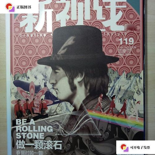 【二手9成新】新视线 2012年 总第119期 做一颗滚石 /新视线 杂志社