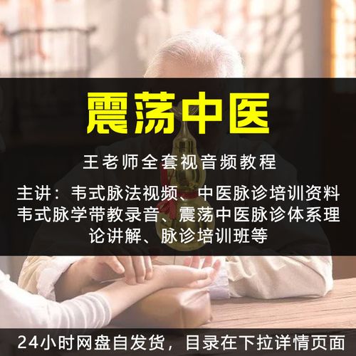 王永民振荡中医韦氏韦刃脉学脉法脉珍培训视频教程共14部录音录像