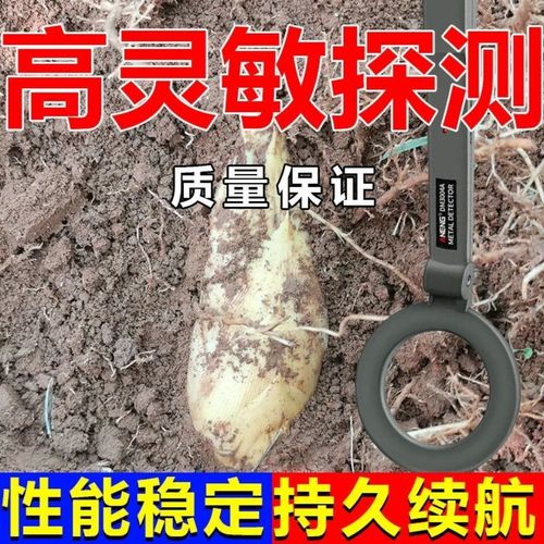 挖冬笋探笋仪探冬笋器挖笋神器第一名寻笋最新款全自动竹笋金属探