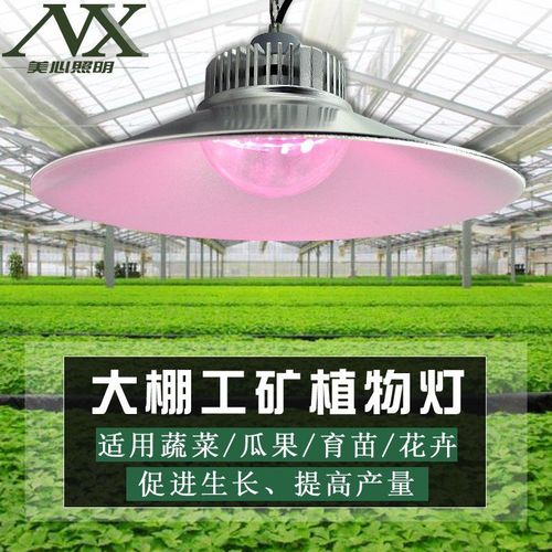 全光谱植物灯生长灯工矿灯室内花卉育苗大棚温室led多肉补光灯