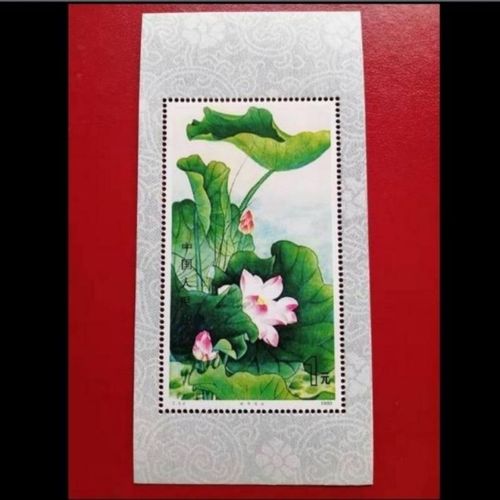 新中国邮政t54荷花小型张纪念张邮票促销全新收藏促仿印邮票图案