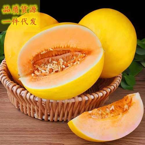 黄河蜜瓜哈密瓜10斤应季新鲜水果甜香瓜黄金瓜水润多汁黄皮哈密瓜