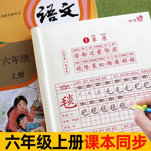六年级上册下册练字帖人教版同步小学课本笔顺钢笔练字楷书描红本