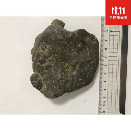 贵州盘江石奇石水石虫化石难得一见海生物化石