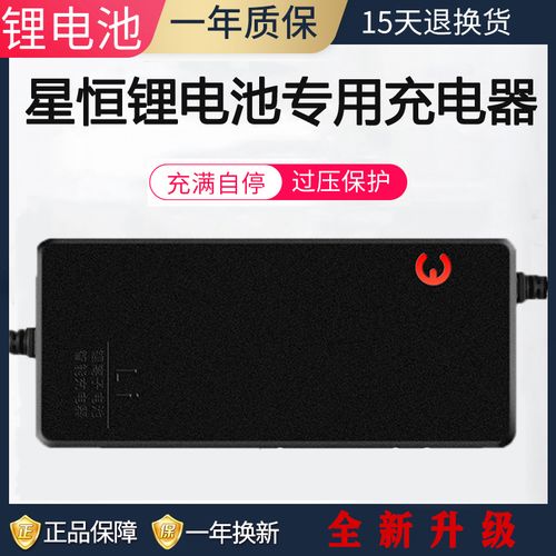 星恒锂电池专用充电器48v12a2a3a20ah24an伏爱玛雅迪电动车快充